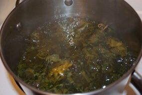 pengobatan urat variatif sareng dekok